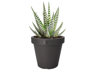 Kvetináč Kanten 40 cm, antracitový