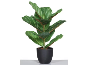 Umelá rastlina v kvetináči Figovník, 40 cm