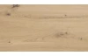 Šatníková skriňa so zrkadlom Savina 225 cm, dub artisan/šalvia